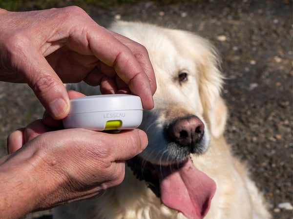 Travel Soap Dispenser