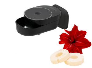 Starter kit manual soap dispenser black + 2 Foamy bars